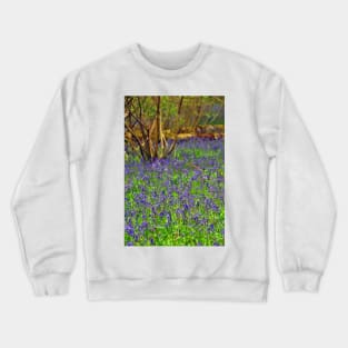 Bluebell Woods Basildon Park Reading UK Crewneck Sweatshirt